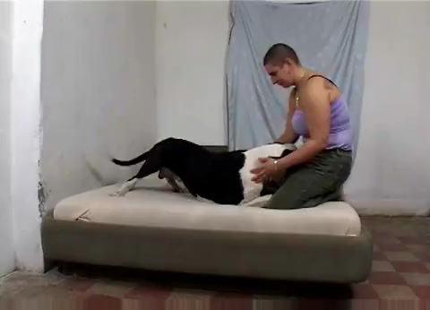 ugly bestiality porn