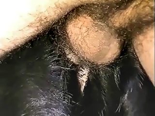 Farmer Guy fuck the dog anal
